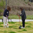 해봄동물병원 이미지