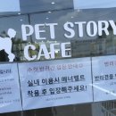 스토리펫(Story pet) 이미지