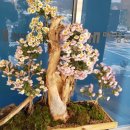 메디움천안요양병원 이미지