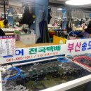 운영수산회센타 이미지