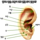 귀의 혈점 이미지