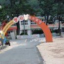 여울애견 이미지