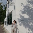 논컬러