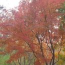 사패지 경계석 이미지