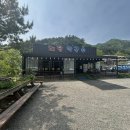 해담막국수 | [강원 양양] 양양막국수맛집 해담막국수 막국수보다 더 맛있는 나물전