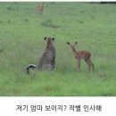 동심 이미지