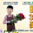 일오팔팔