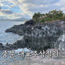 제주도 중문 대포 주상절리 입장료 소요시간 주차장 후기