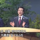 황무지가 장미꽃같이 - 찬송가 242장(사랑의교회) 이미지