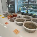 상평동-1 이미지