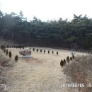 갑산원 이미지