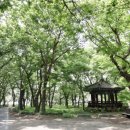 무주읍249 이미지