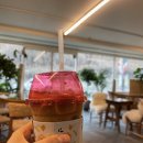 아리아팜 이미지