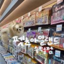 펫츠아일랜드 이미지