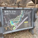 중랑가족캠핑장 | 서울 도심 캠핑 추천 중랑가족캠핑장 아이 동반 후기