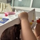 Berrys Bear | [노부영 헬프 3주차 후기] 숫자 감각 쑥! ‘Five Little Ducks’와 Bb 발음까지 잡았어요