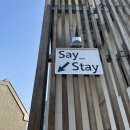 세이스테이 이미지