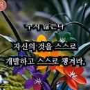 화랑공원 Daum카페