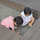 릴라 | 한국창작그림책 릴라팝 후기 책육아로 추천하는 릴라팝 그림책