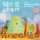 마이스정보사이트 - 월출산 국화축제 이미지