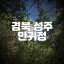 성주 만귀정 | 경북 성주 아이와 물놀이 하기 좋은 만귀정