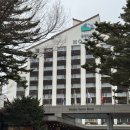 드래곤밸리 | 용평리조트 드래곤밸리호텔 슈페리어 트윈 숙박 후기