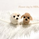 플라워 도그 이미지
