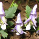 (주)경남환경 이미지