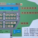 고성 잔디 캠핑장 이미지