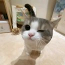 정관우체국 네이버블로그