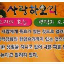 사랑하오리 이미지