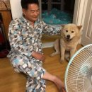 시시 Daum카페