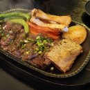 숲길 강아지 이미지