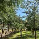 초막골생태공원(초록화장실) 이미지