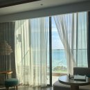 고운목장 | 나트랑 자유여행 코스 4일차 양떼목장 포롱자라이 판랑사막투어