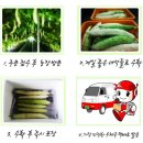 여주-0577 Daum카페