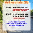 웰니스메이트 이미지