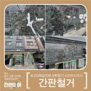 행복한 멍냥이 이미지