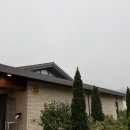 평정심 | 🪷 담마코리아 텐데이 윗바사나 명상 후기 – 애씀을 내려놓고, 평정심을 배우다.