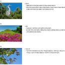 [지명사전] 대가야의 찬란한 철기 문화와 고대 왕국의 숨결, 고령(高靈)