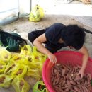 아가숲어린이집 이미지