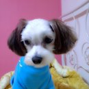 한수풀동물병원 이미지