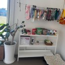 데레사유치원 | [충남 공주시]천연잔디 애견운동장 &#34;디어마이아지&#34;