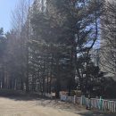 순환로 이미지