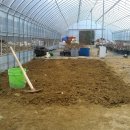 버들골농장 이미지