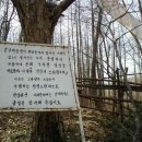 꽃피는사계 이미지