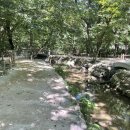 상림약수터 | 한여름에도 시원한 함양 상림공원! 인생샷 스팟부터 시원한 약수터까지