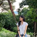 다헤어 이미지