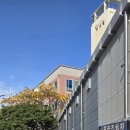 갈치고등어조림전문점 | 제주도 맛집 / 서귀포맛집 네거리식당 갈치조림, 갈치구이, 고등어구이 내돈내산 추천 후기