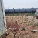 죠이월드 이미지